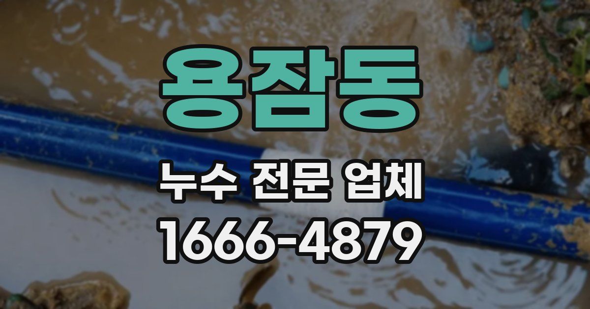 용잠동 누수 전문 업체