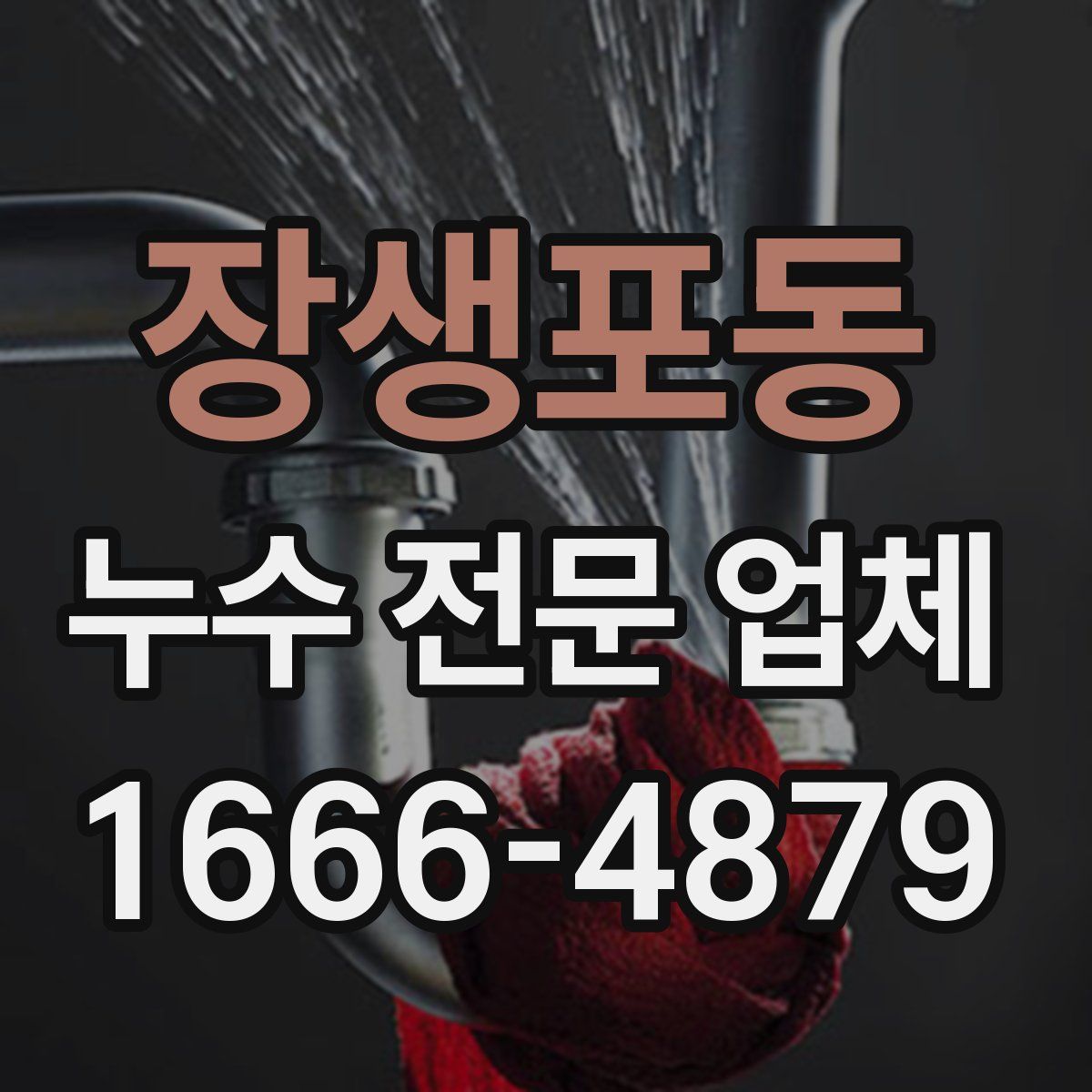 장생포동 누수 전문 업체