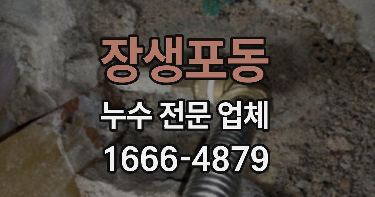 장생포동 누수 전문 업체