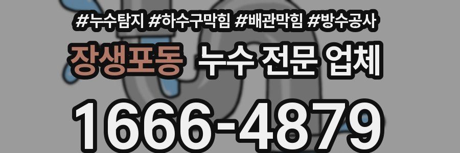장생포동 누수 전문 업체