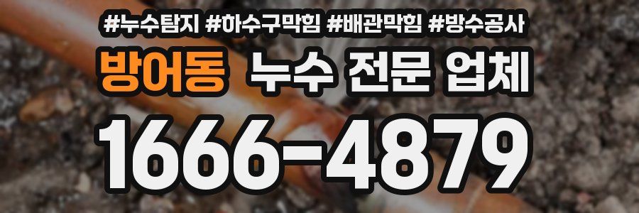 방어동 누수 전문 업체