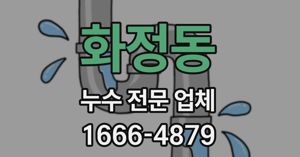 화정동 누수 전문 업체