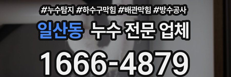 일산동 누수 전문 업체