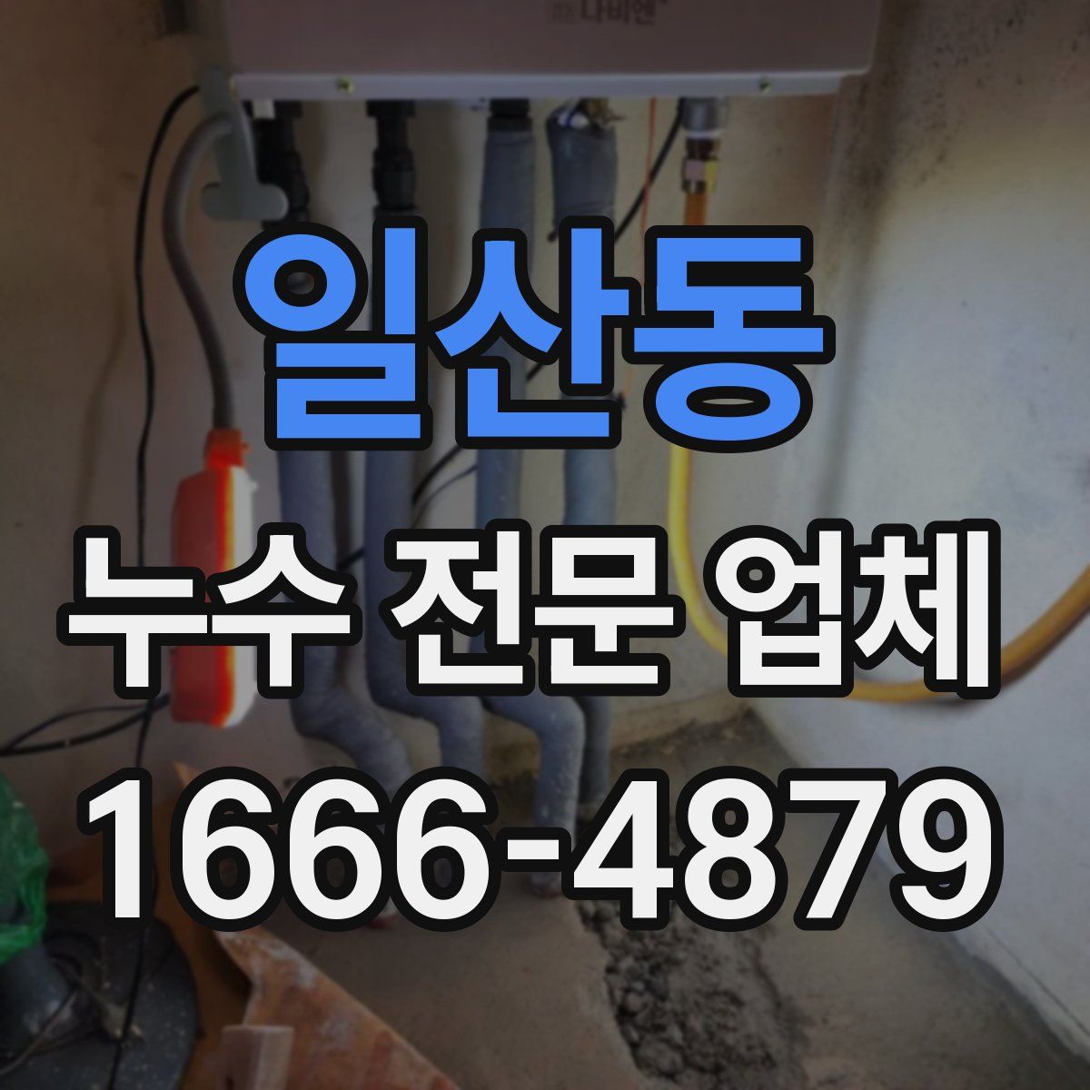일산동 누수 전문 업체