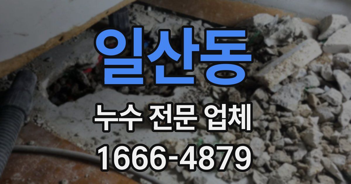 일산동 누수 전문 업체