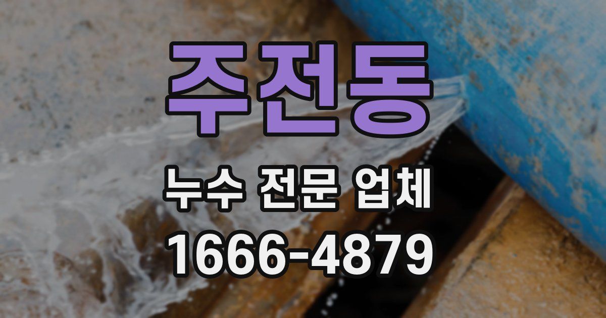 주전동 누수 전문 업체