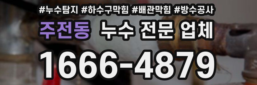 주전동 누수 전문 업체