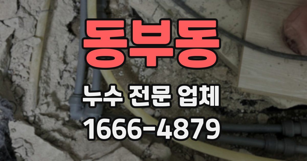 동부동 누수 전문 업체