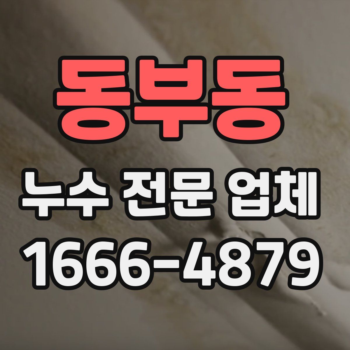 동부동 누수 전문 업체