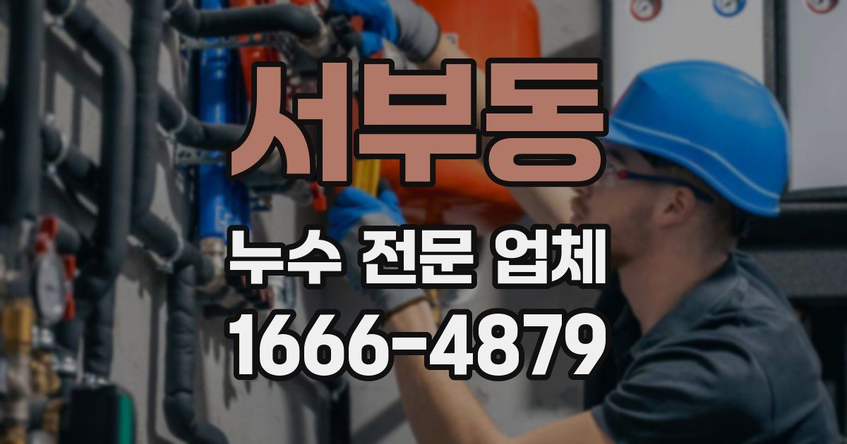 서부동 누수 전문 업체