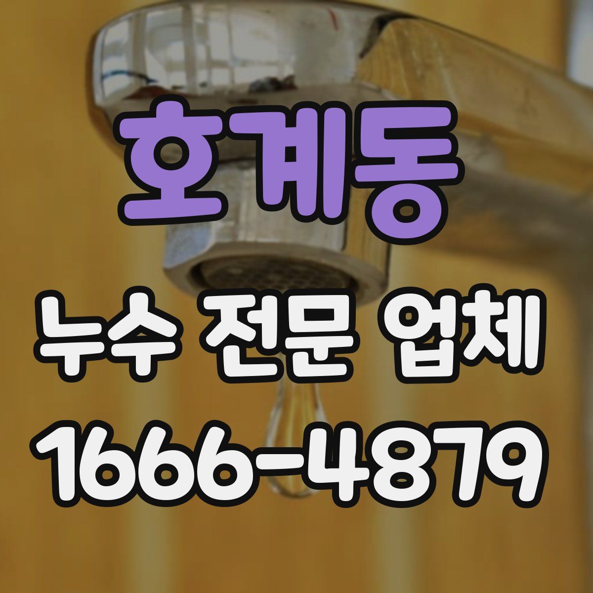 호계동 누수 전문 업체