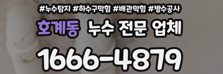 호계동 누수 전문 업체
