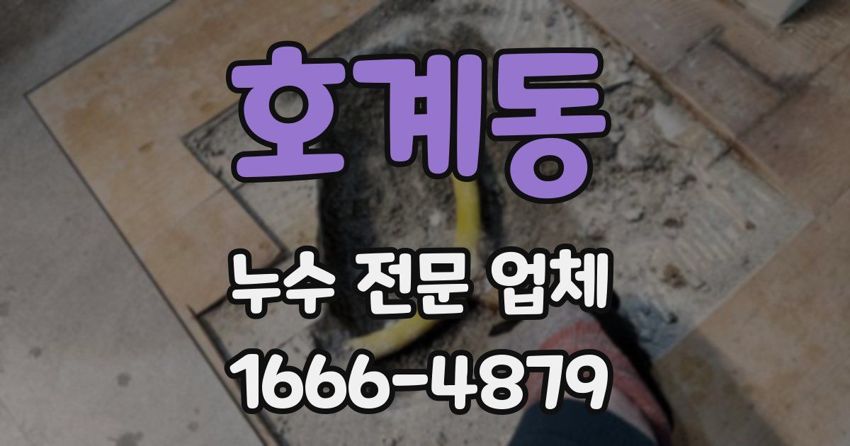 호계동 누수 전문 업체