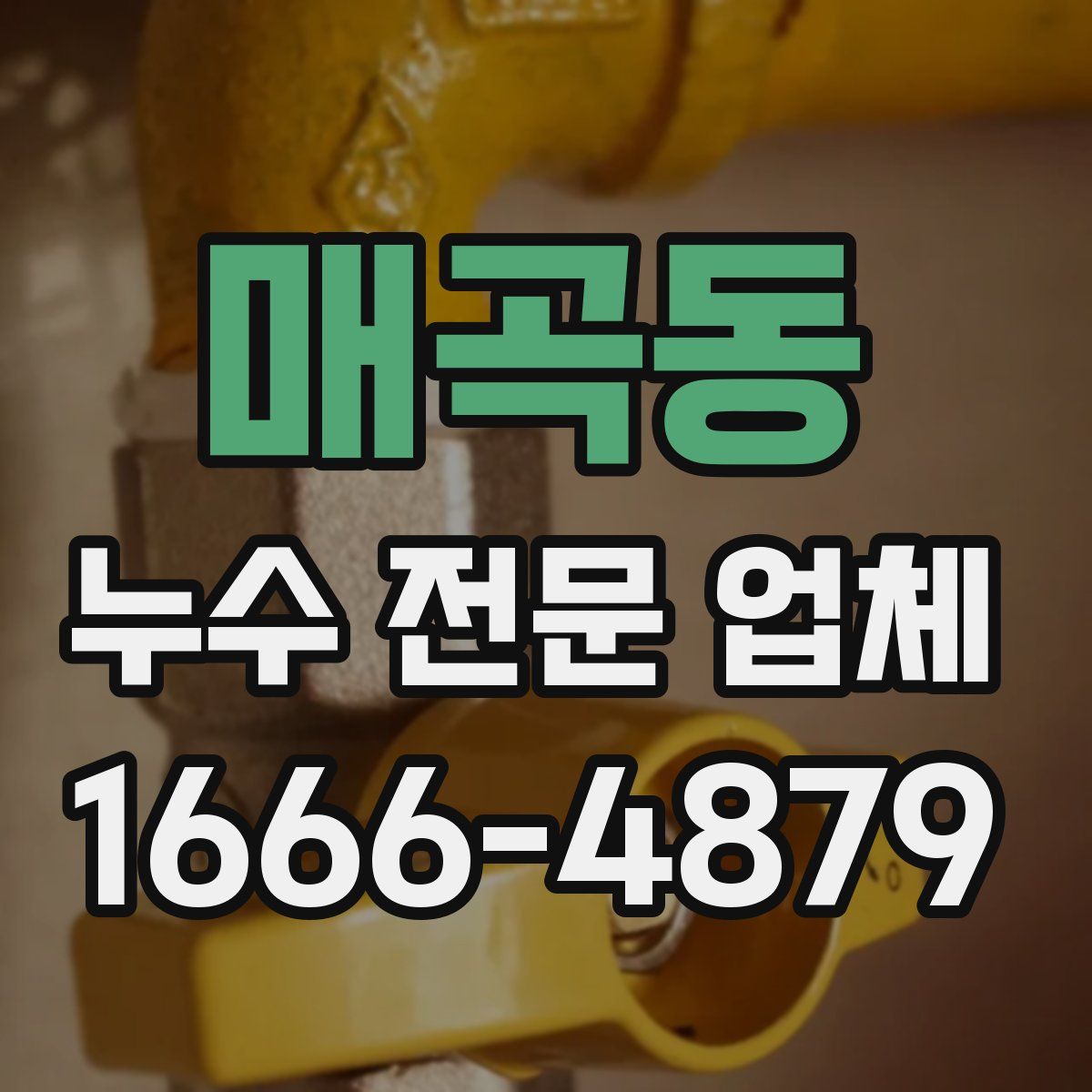 매곡동 누수 전문 업체