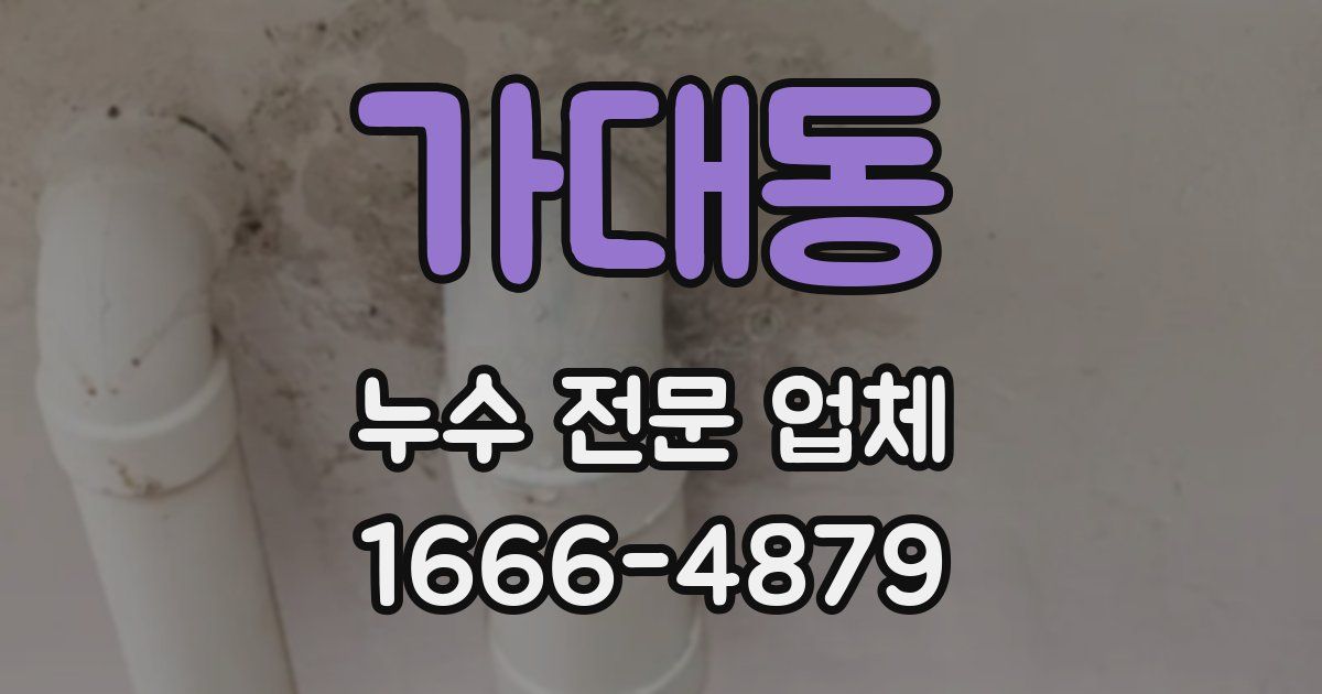가대동 누수 전문 업체