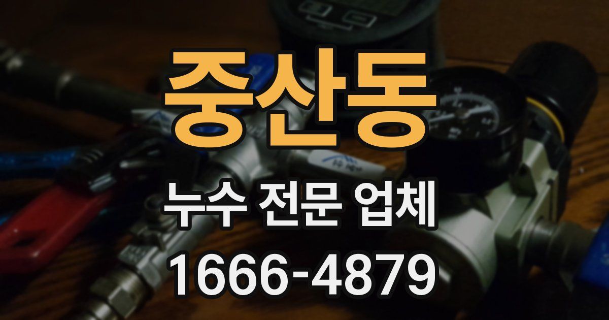 중산동 누수 전문 업체