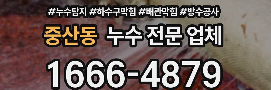 중산동 누수 전문 업체