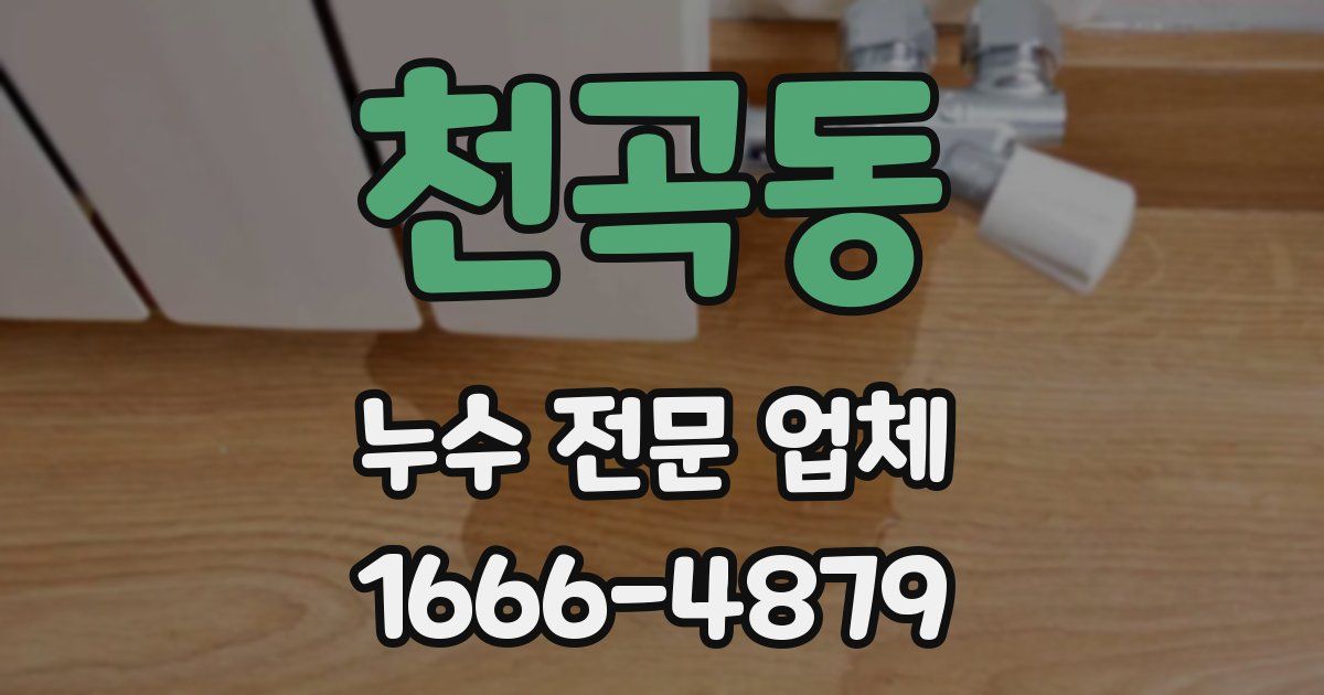 천곡동 누수 전문 업체