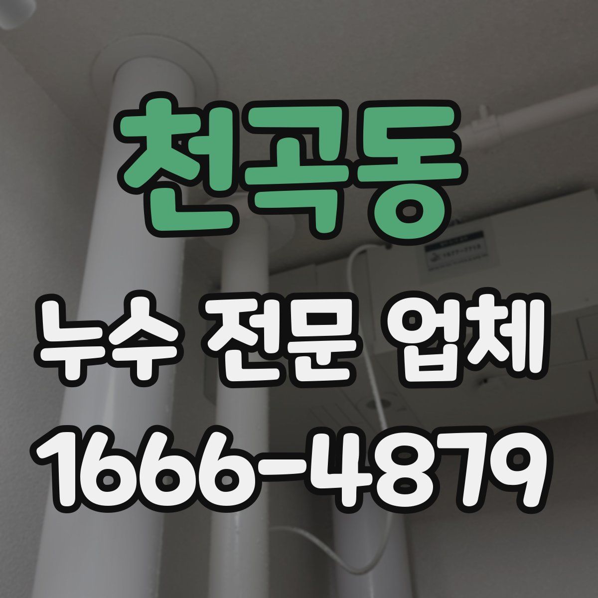 천곡동 누수 전문 업체