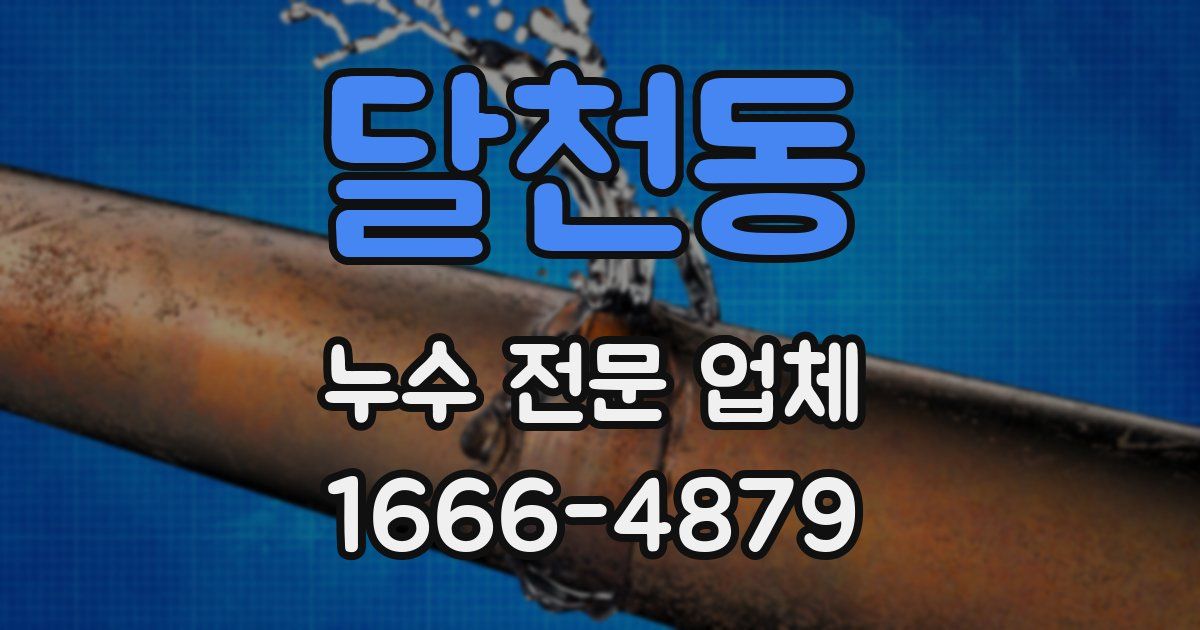 달천동 누수 전문 업체