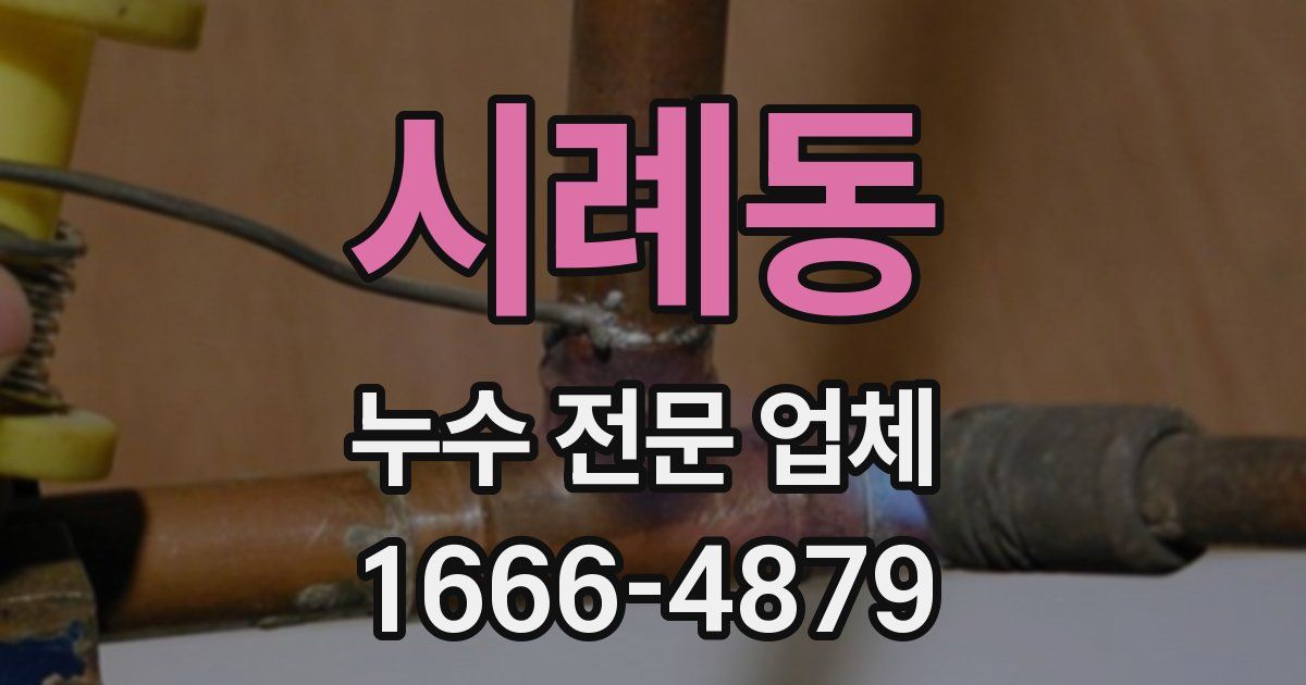 시례동 누수 전문 업체