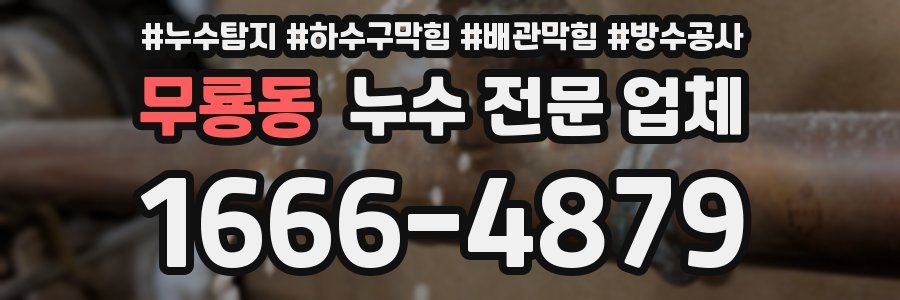무룡동 누수 전문 업체