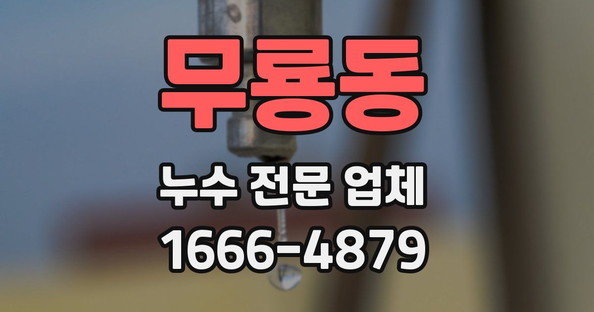 무룡동 누수 전문 업체