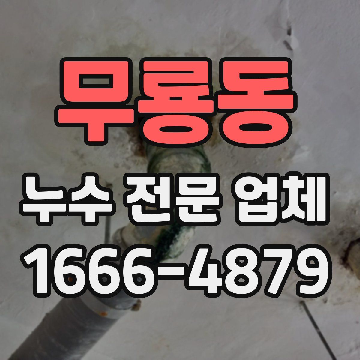 무룡동 누수 전문 업체