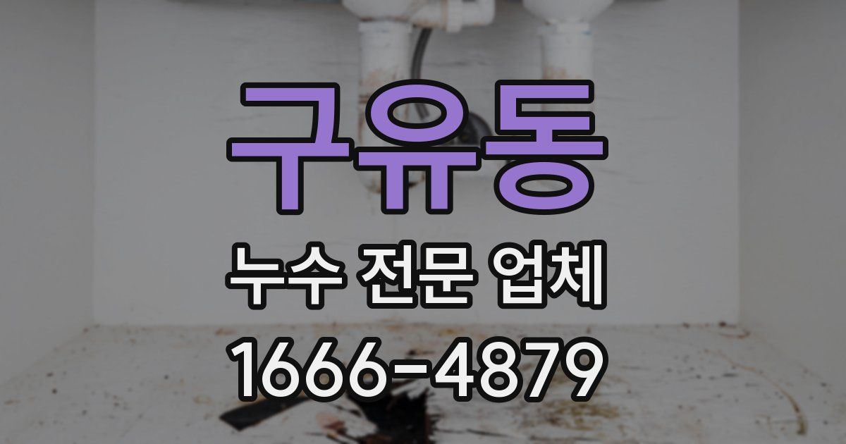 구유동 누수 전문 업체