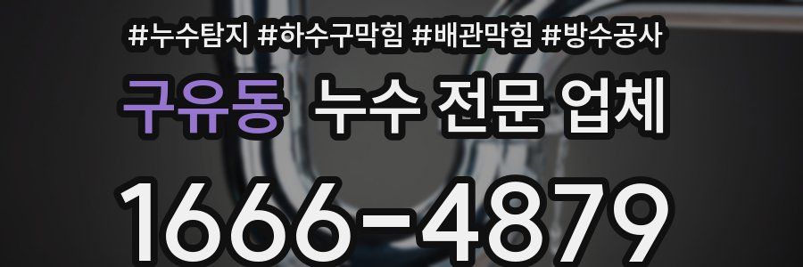 구유동 누수 전문 업체