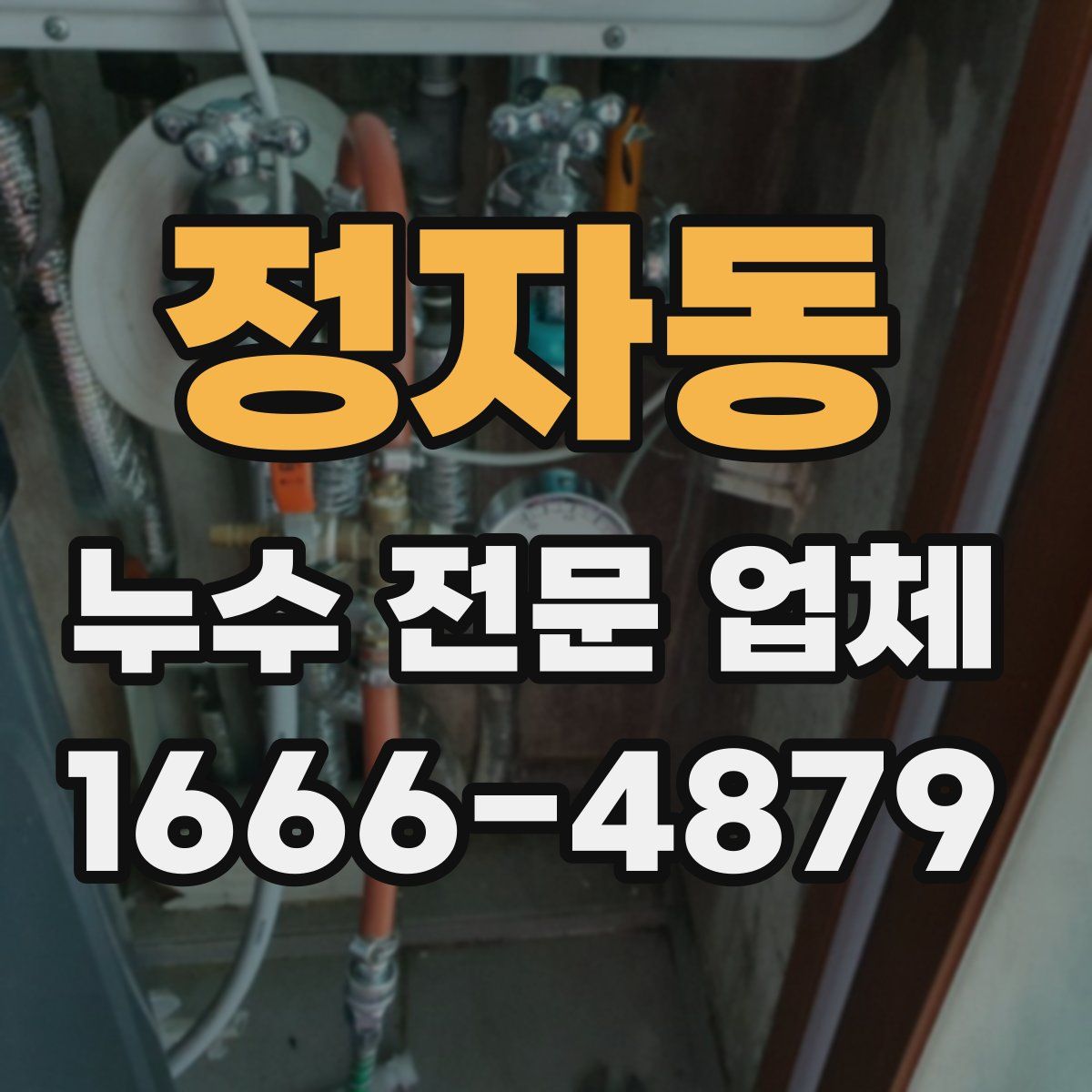 정자동 누수 전문 업체