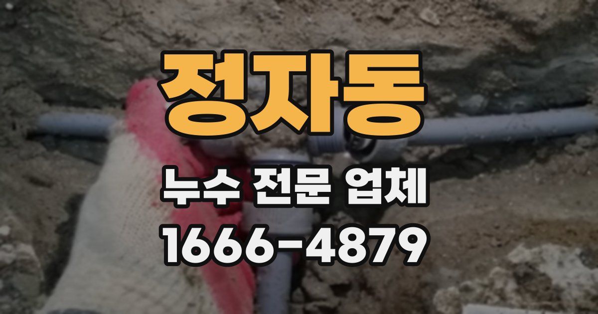 정자동 누수 전문 업체