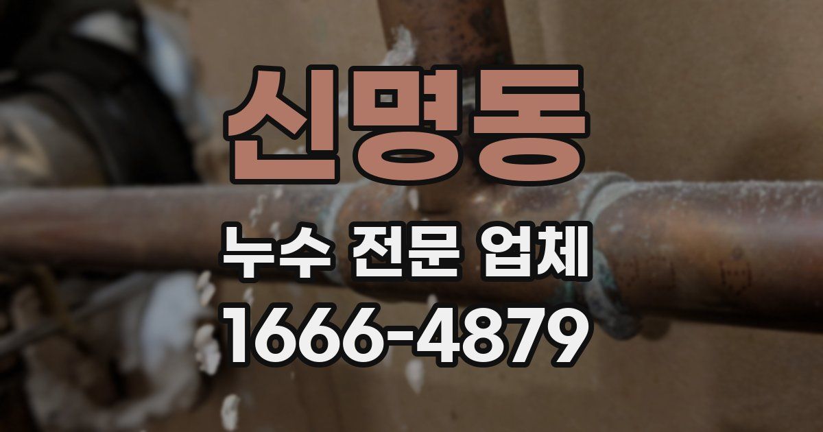 신명동 누수 전문 업체