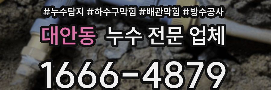 대안동 누수 전문 업체