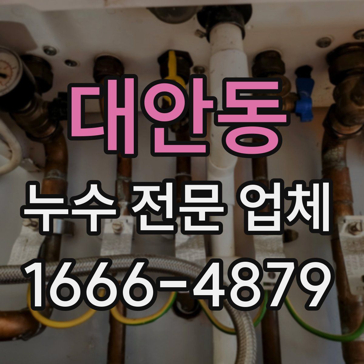대안동 누수 전문 업체
