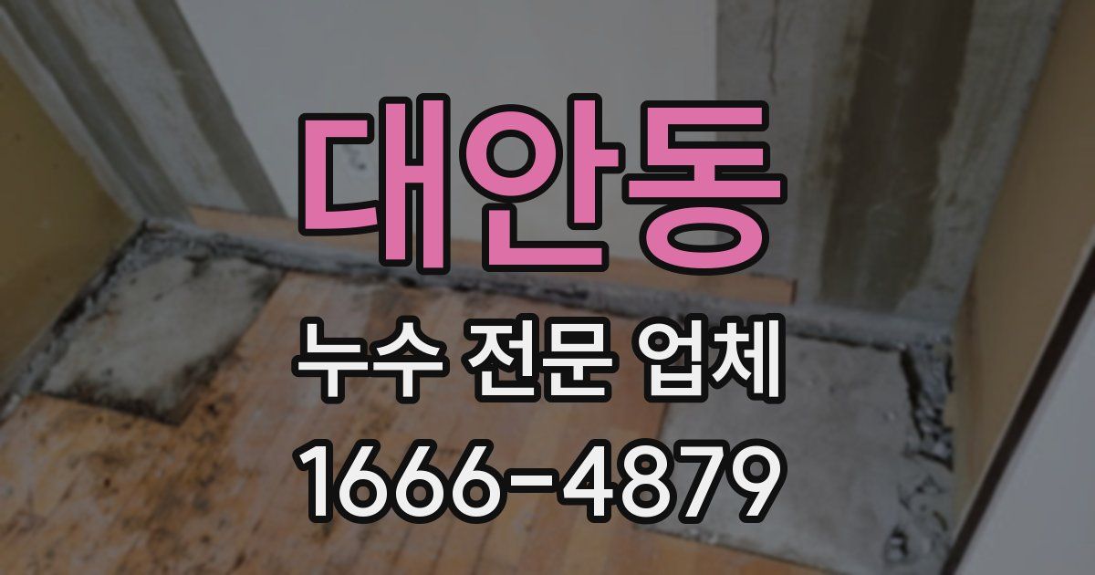대안동 누수 전문 업체