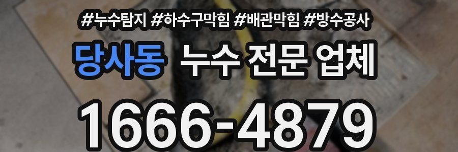 당사동 누수 전문 업체