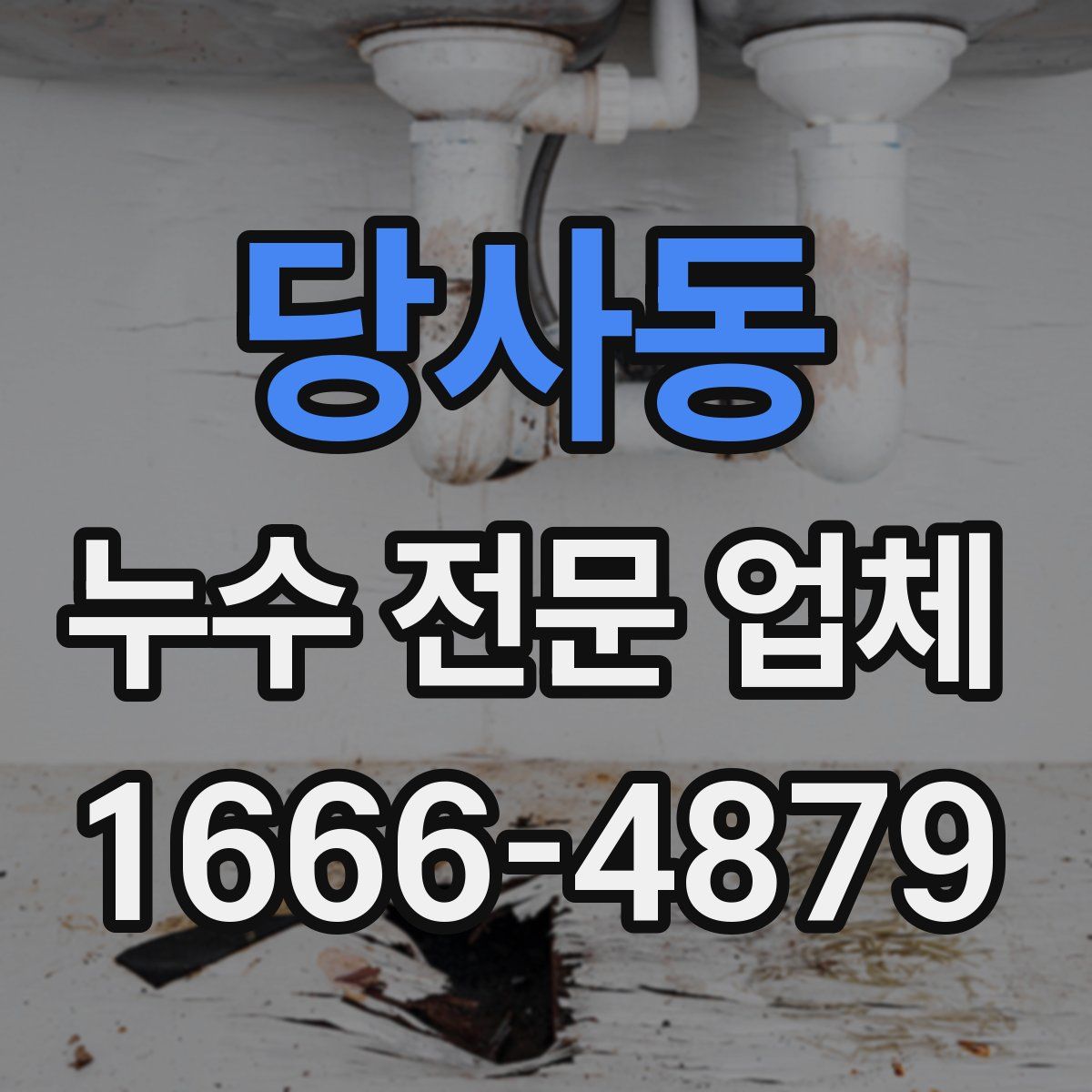 당사동 누수 전문 업체