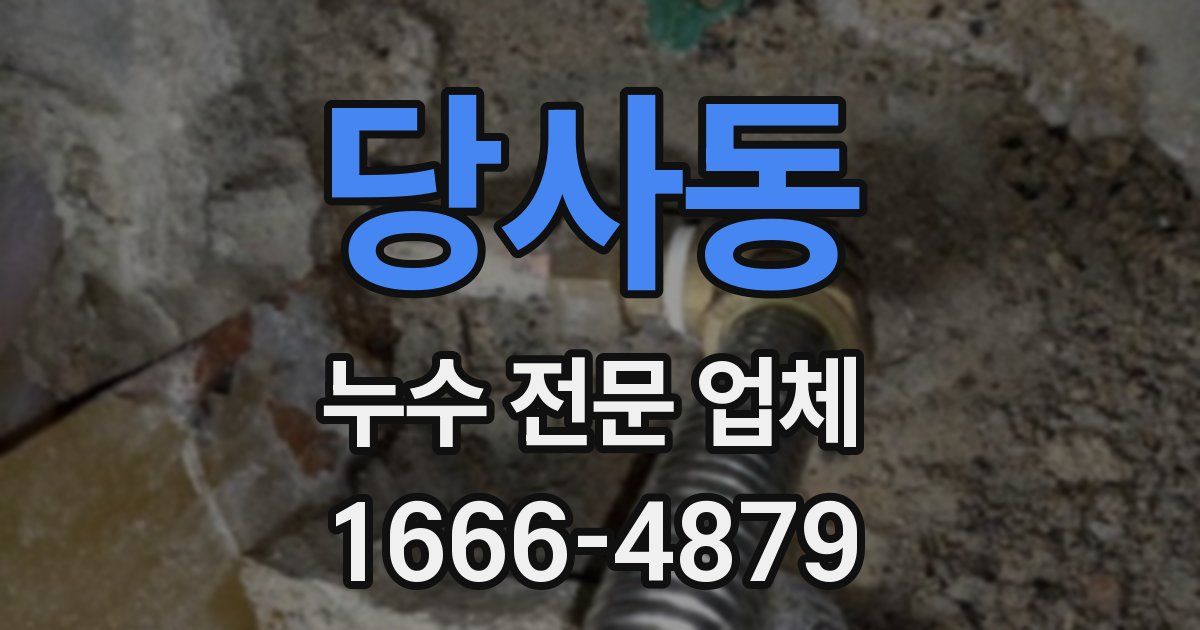 당사동 누수 전문 업체