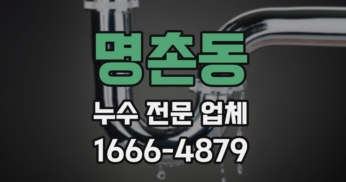 명촌동 누수 전문 업체