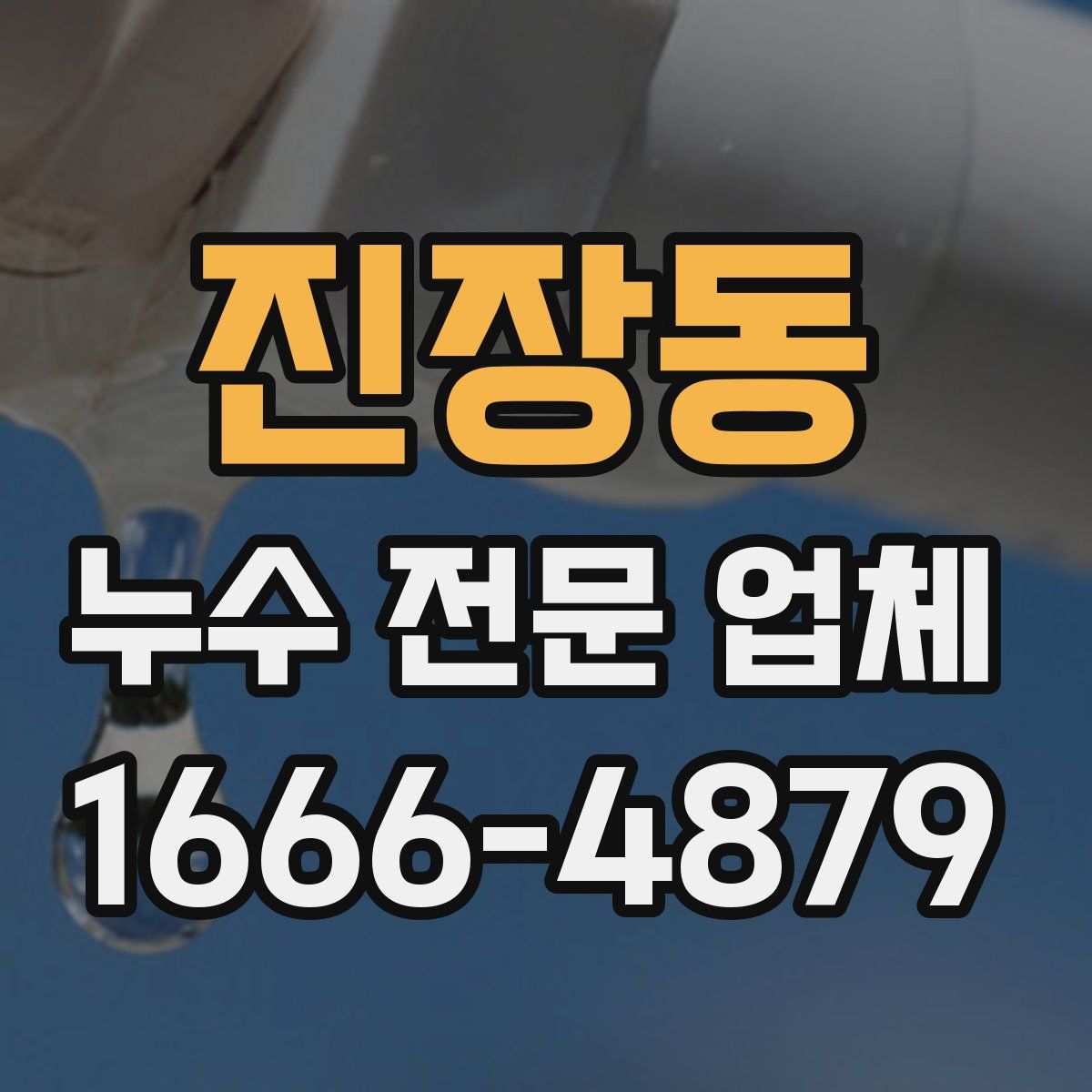 진장동 누수 전문 업체