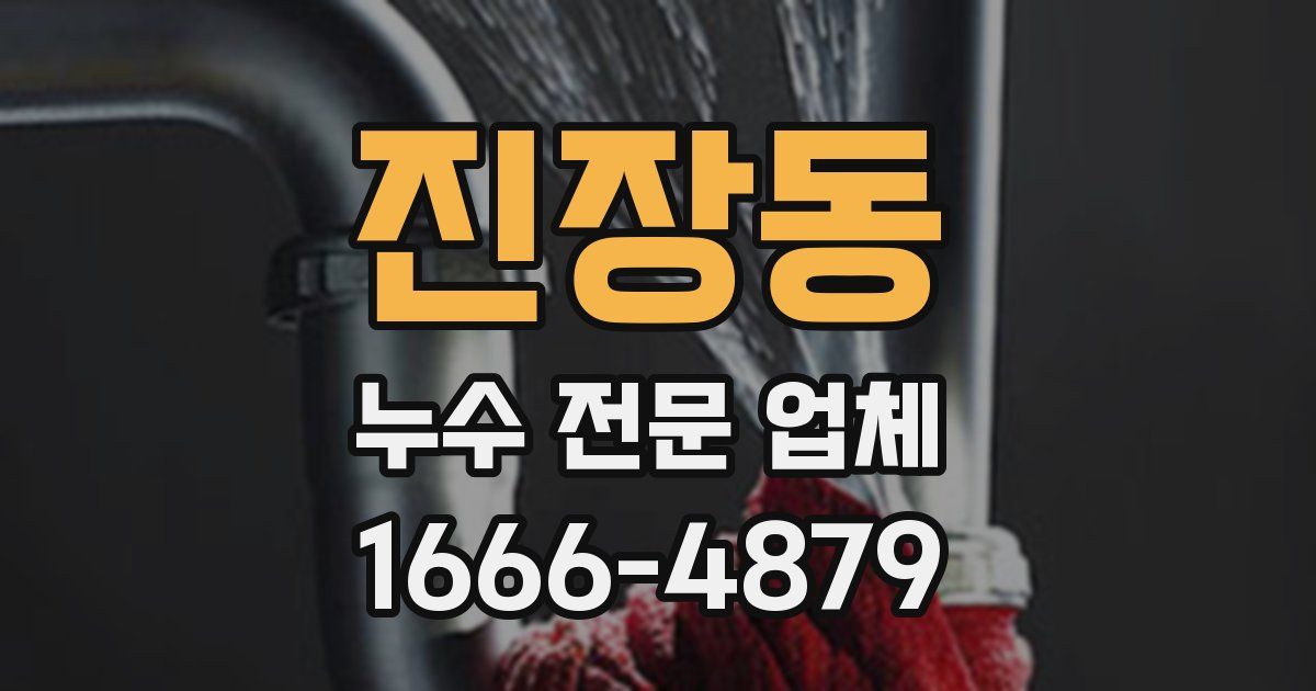 진장동 누수 전문 업체