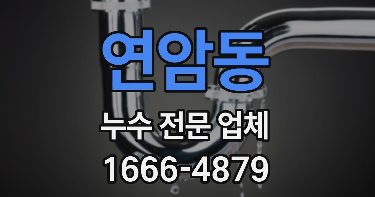 연암동 누수 전문 업체