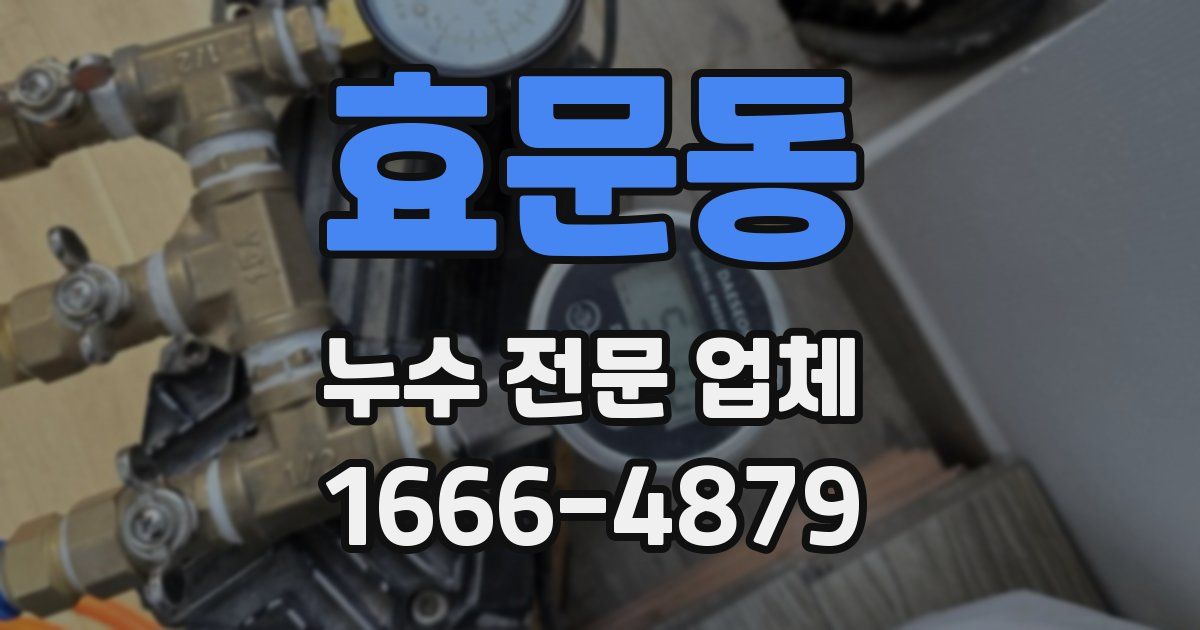 효문동 누수 전문 업체