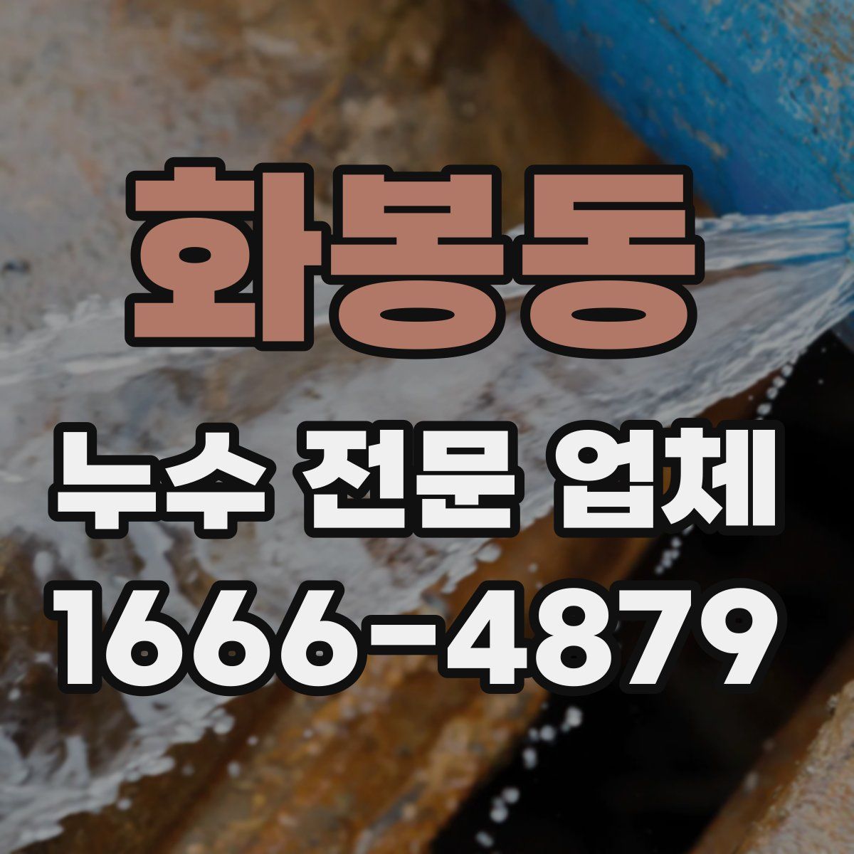 화봉동 누수 전문 업체