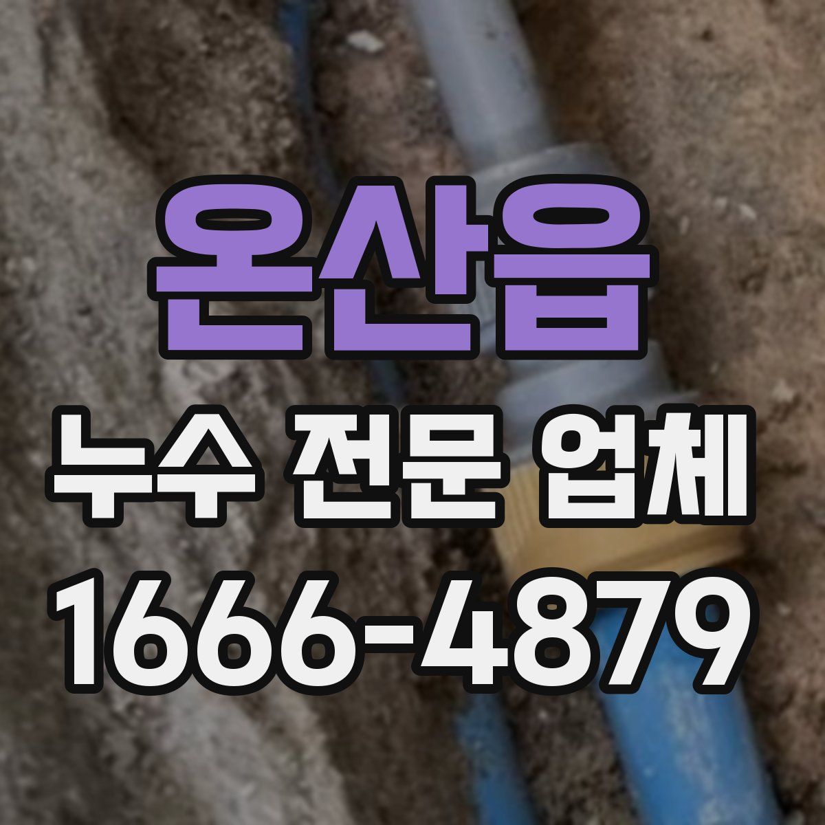 온산읍 누수 전문 업체