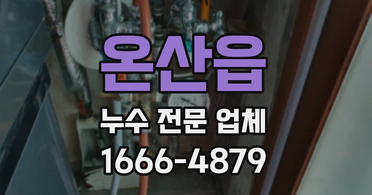 온산읍 누수 전문 업체