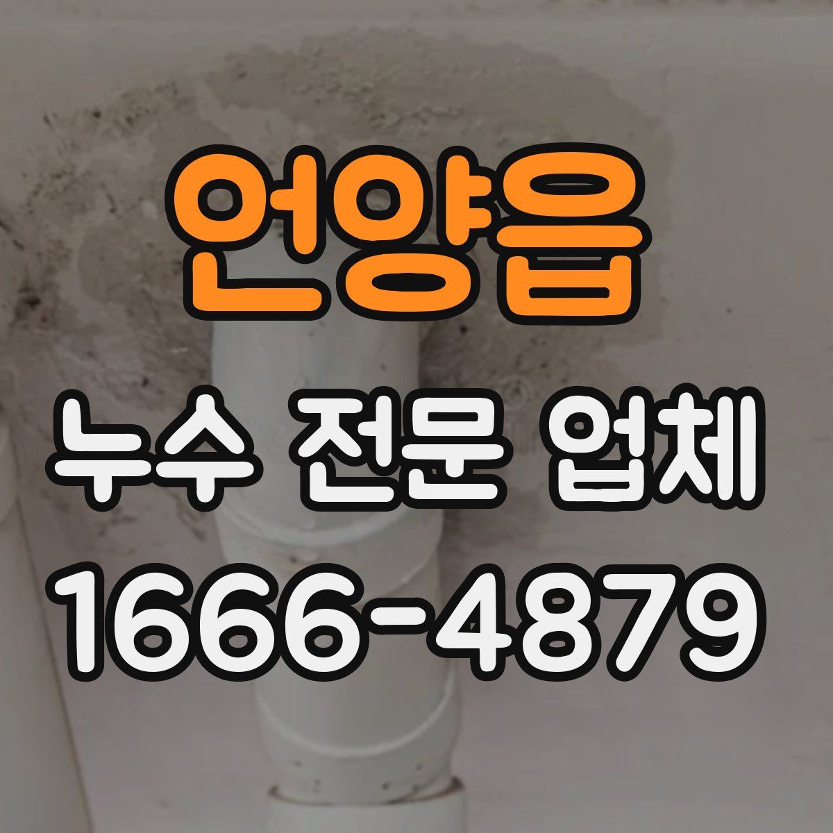 언양읍 누수 전문 업체
