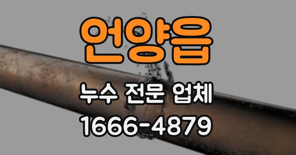 언양읍 누수 전문 업체