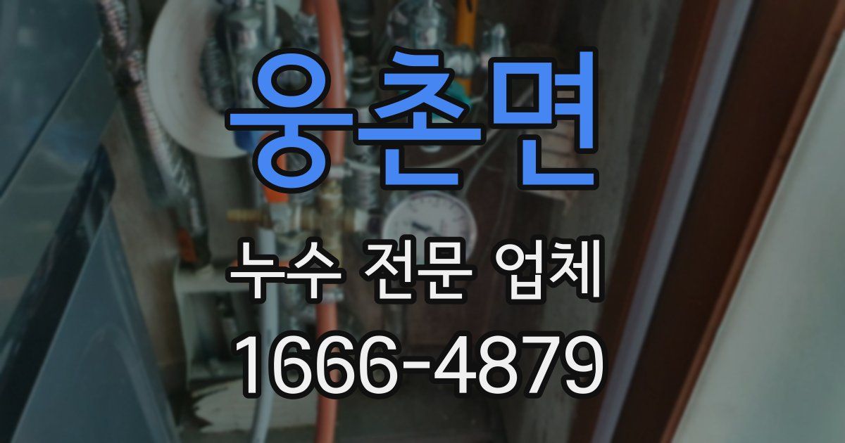 웅촌면 누수 전문 업체